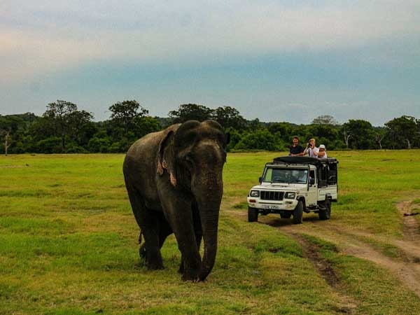 Yala Wildlife Park